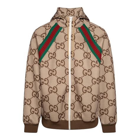 felpa gucci beige